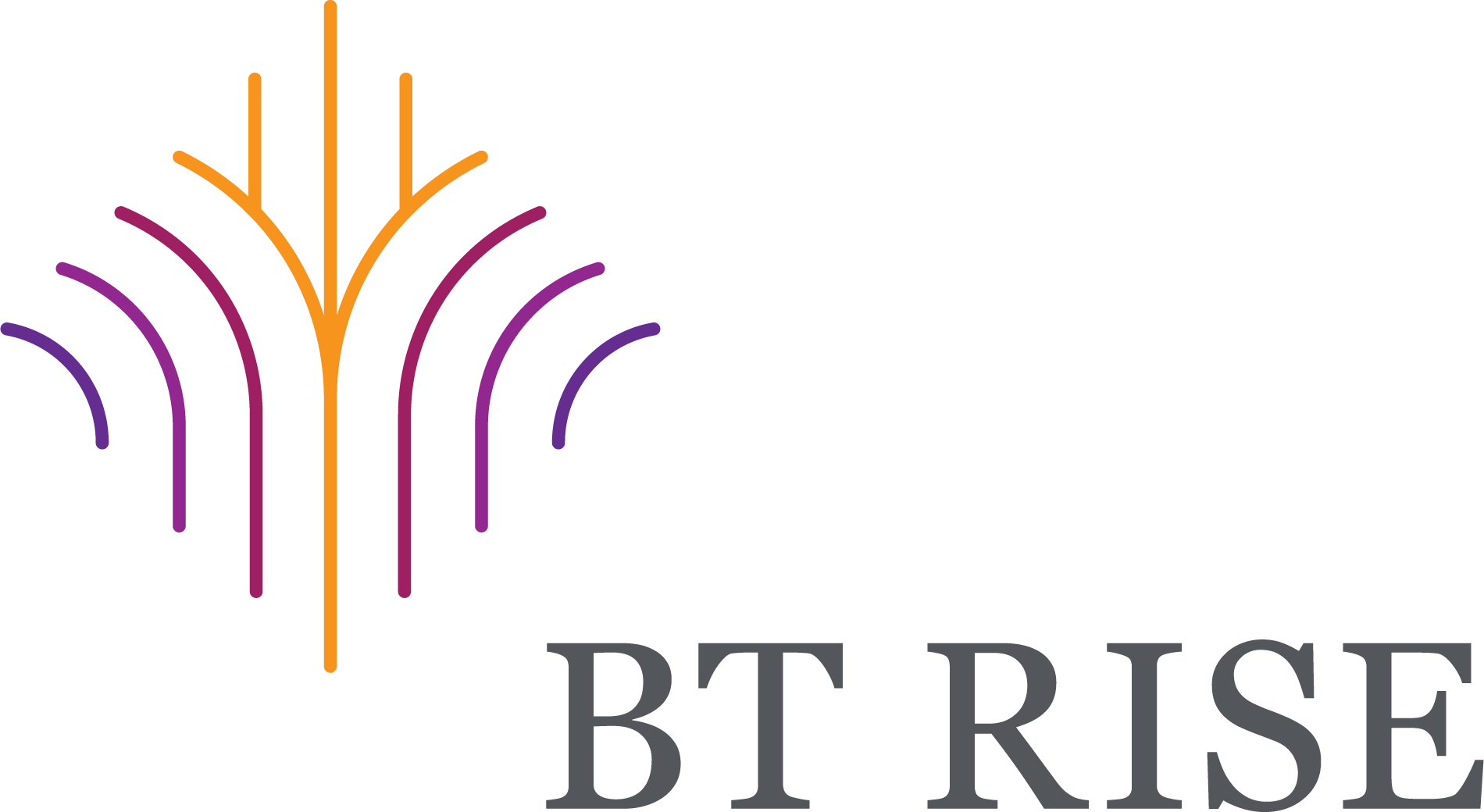 BT Rise Logo