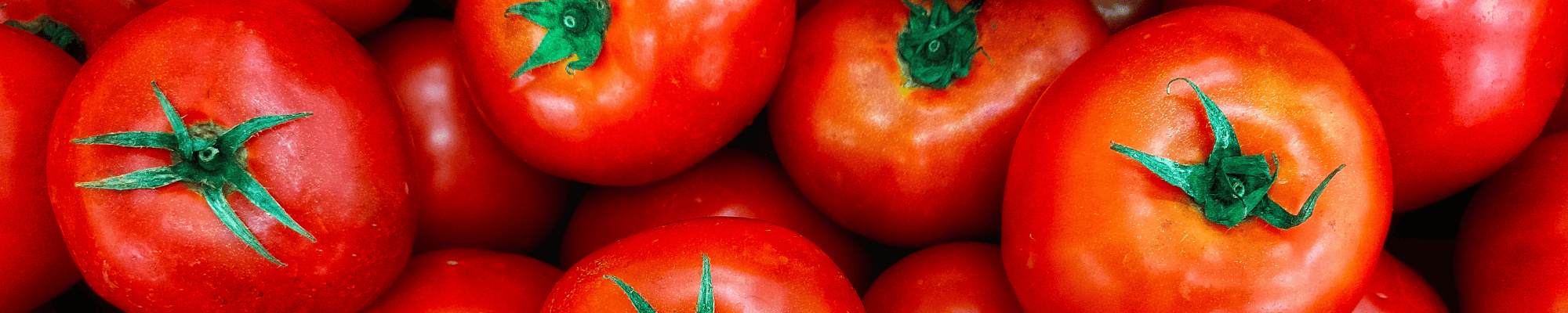 Updated Menus Webpage July 25